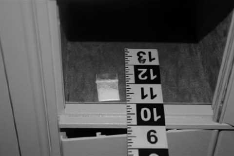 New Information on Biden White House Cocaine Scandal Revealed