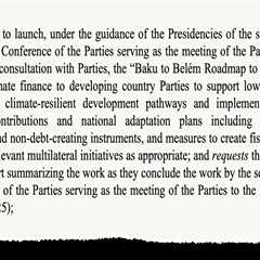 COP30: What does the ‘Baku to Belém roadmap’ mean for climate finance?