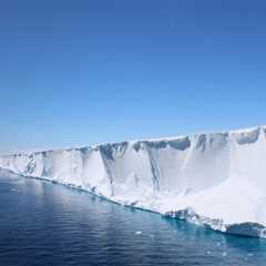 Shackleton’s Endurance Search Reveals Hidden Fish City