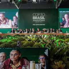 Five big questions hanging over COP30