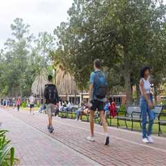 The Impact of Universities and Colleges on Political Views in Northern Virginia