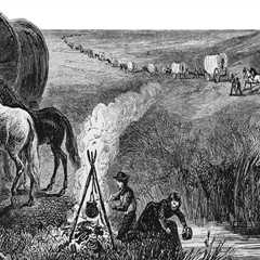 The Crucial Role of Public Servants in Western Oregon