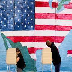 The Power of Volunteers and Canvassing in Democratic Campaigns in Northern Virginia