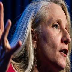 The Winning Strategies of Democratic Campaigns in Northern Virginia