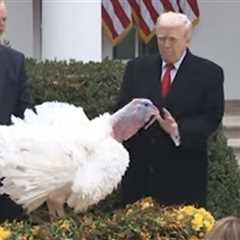 WATCH: Trump Roasts Chuck Schumer and Nancy Pelosi at Turkey Pardon, Jokes Record Setting Turkeys..