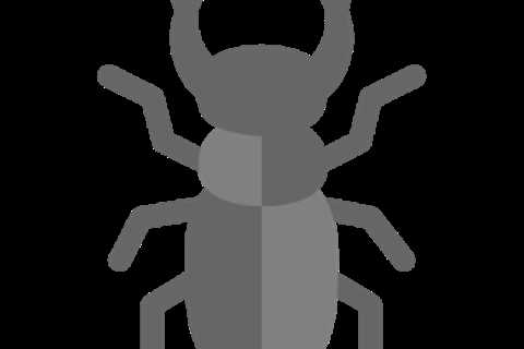 Stag Beetle Pet Wiki: Your Guide to Growing a Garden