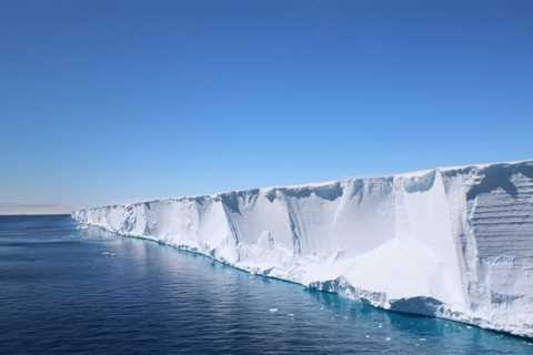 Shackleton’s Endurance Search Reveals Hidden Fish City