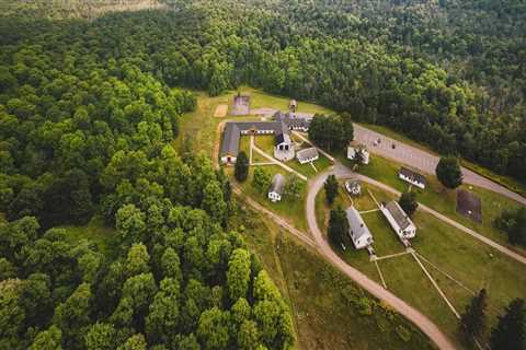 The Impact of Technology on Heritage Preservation and Promotion in Wayne County, Michigan