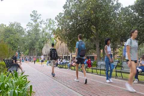 The Impact of Universities and Colleges on Political Views in Northern Virginia