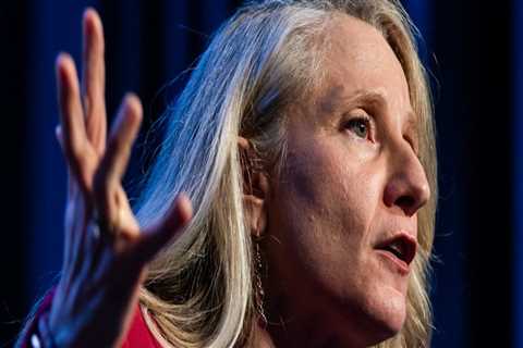 The Winning Strategies of Democratic Campaigns in Northern Virginia