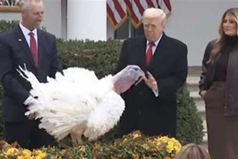 WATCH: Trump Roasts Chuck Schumer and Nancy Pelosi at Turkey Pardon, Jokes Record Setting Turkeys..