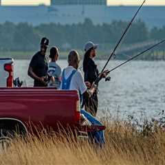 The Impact of Political Campaigns on Environmental Policies in Mobile, Alabama