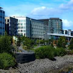 The Governance of Public Health Services in Clark County, Washington: An Expert's Perspective