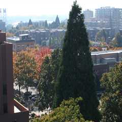 The Crucial Role of the County Prosecutor in Clark County, Washington