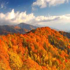 Discovering the Vibrant Community Celebrations of East Tennessee