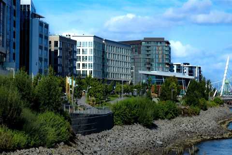 The Governance of Public Health Services in Clark County, Washington: An Expert's Perspective