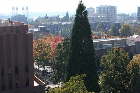 The Crucial Role of the County Prosecutor in Clark County, Washington