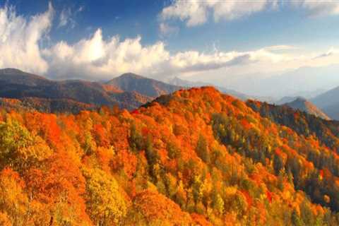 Discovering the Vibrant Community Celebrations of East Tennessee