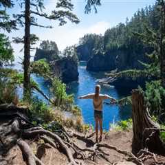 The Impact of Social Media on Political News Coverage in Southwest Florida