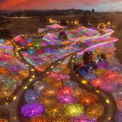 Navigating the Parking Landscape at Wine Events in Central California: A Comprehensive Guide