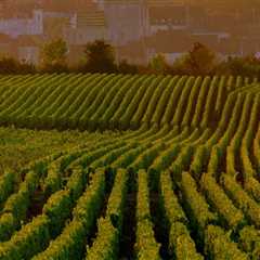 Exploring the Culinary Landscape: Food Events in Western Massachusetts