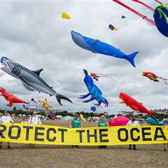 Global Ocean Treaty now in force, because of your