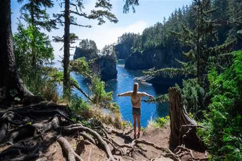 The Impact of Social Media on Political News Coverage in Southwest Florida