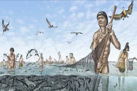 The Evolution of Politics in Southwest Florida: A Comprehensive Overview