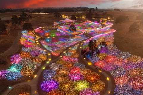 Navigating the Parking Landscape at Wine Events in Central California: A Comprehensive Guide