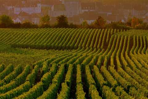 Exploring the Culinary Landscape: Food Events in Western Massachusetts