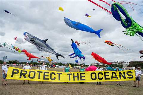 Global Ocean Treaty now in force, because of your