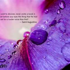 Earth911 Inspiration: No Louder Voice?