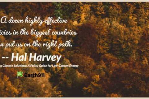 Earth911 Inspiration: a Dozen Highly Effective Policies