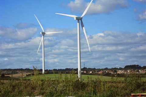 Beyond Carbon Credits: A Guide to the Expanding World of Environmental Credits