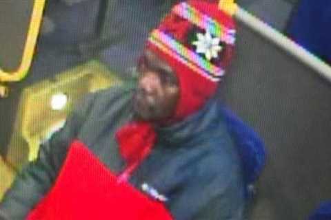 Northern Virginia Woman Stabbed to Death at Bus Stop by Illegal Alien With Over 30 Prior Arrests