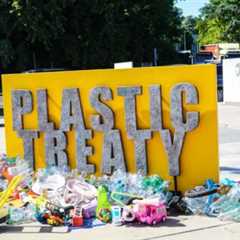 COP30 rainforest fund unlikely to make first payments until 2028