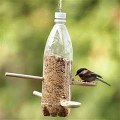 7 DIY Recycled Bird Feeders