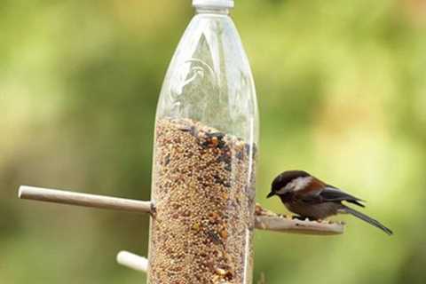 7 DIY Recycled Bird Feeders
