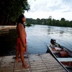 How a Brazil-led roadmap can rescue global pledge to halt deforestation