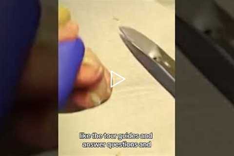 She loves her job at the Bell Museum, working with educators and sharing her passion!