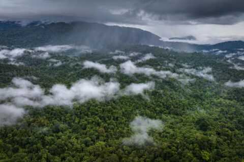 Nature cannot be ignored by Europe’s next big budget