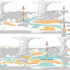 Do You Know the Difference Between El Niño and La Niña?