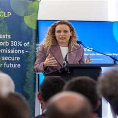 Tropical forest protection fund at risk after UK stalls on pledge