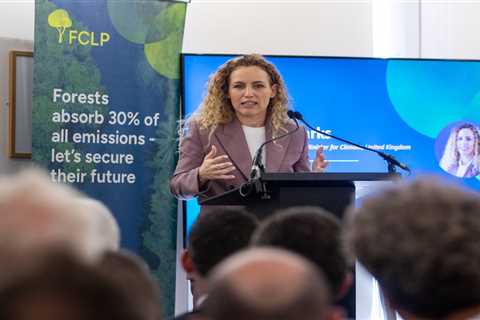 Tropical forest protection fund at risk after UK stalls on pledge