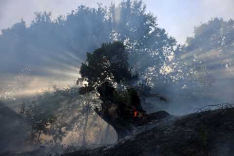A strong El Niño spells more climate pain for the Philippines